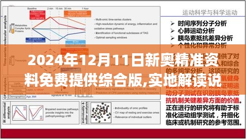 2025新门最准最快资料,定量解析解释法_硬件版80.335