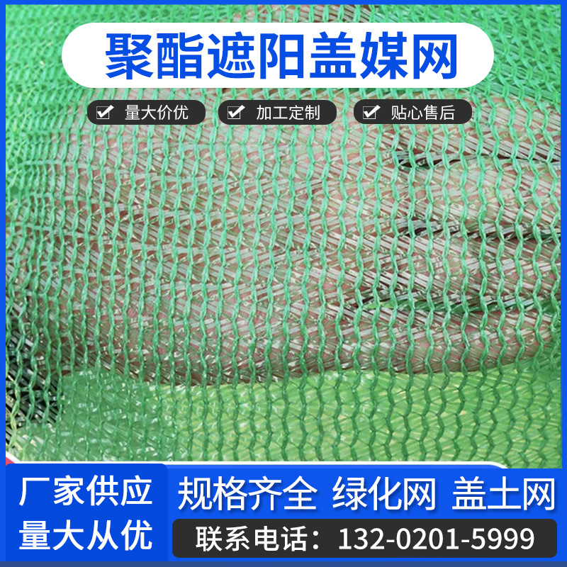 盖网最新动态揭秘，一场温馨的冒险之旅