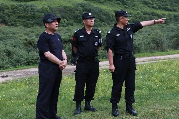 岷县公安网新动态，力量变革与成就之路的励志篇章