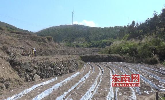 莆田坪洋村新貌，变化中的村庄，自信与成就感的源泉最新消息