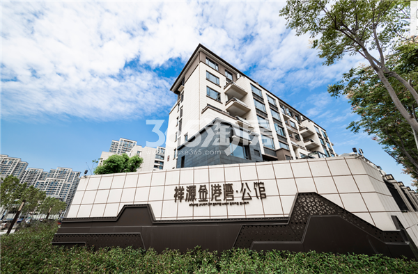 祥源金港湾最新动态，启航新征程，成就梦想之地