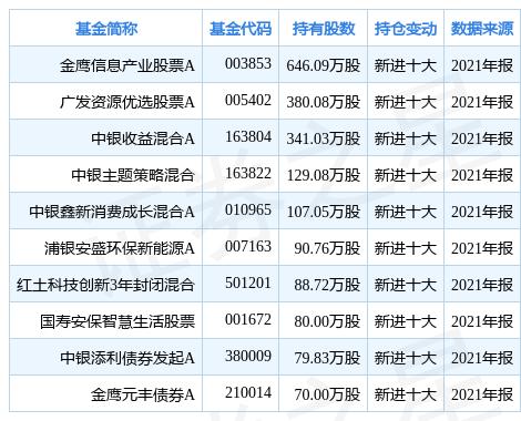 横店东磁股票最新动态更新，最新消息与走势分析