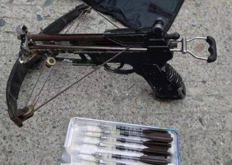 时代背景下的宠物管理利器，最新款麻醉打狗枪图片曝光