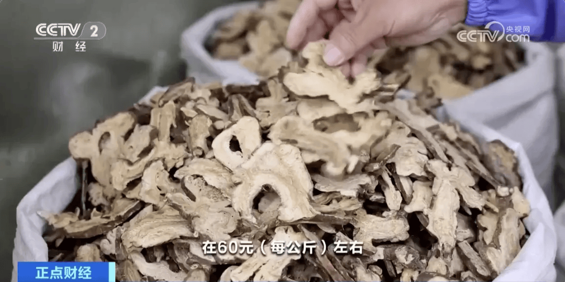 最新牡丹子收购价格，科技与生活融合，引领未来潮流趋势